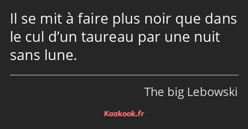 Il se mit à faire plus noir que dans le cul d’un taureau par une nuit sans lune.