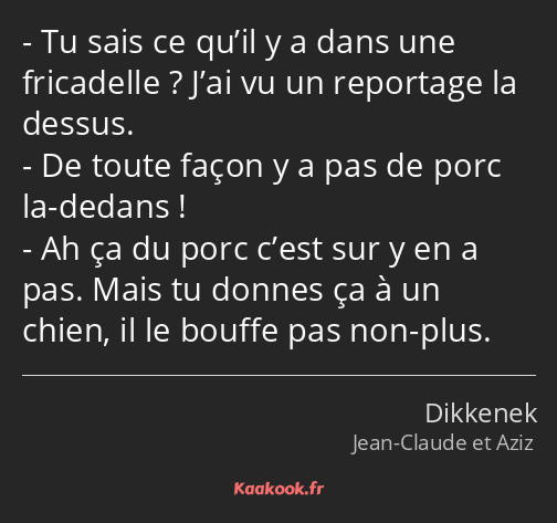 Tu sais ce qu’il y a dans une fricadelle ? J’ai vu un reportage la dessus. De toute façon y a pas…