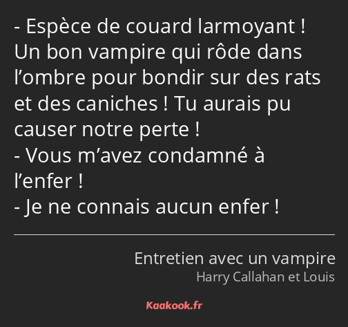 Espèce de couard larmoyant ! Un bon vampire qui rôde dans l’ombre pour bondir sur des rats et des…