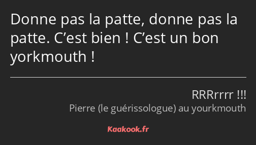 Donne pas la patte, donne pas la patte. C’est bien ! C’est un bon yorkmouth !