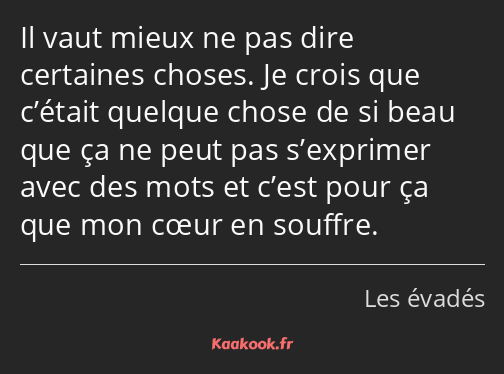 Il vaut mieux ne pas dire certaines choses. Je crois que c’était quelque chose de si beau que ça ne…