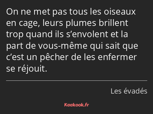 On ne met pas tous les oiseaux en cage, leurs plumes brillent trop quand ils s’envolent et la part…