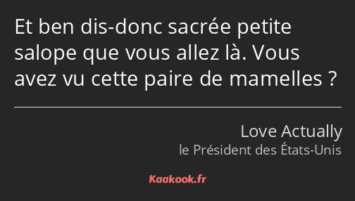 Et ben dis-donc sacrée petite salope que vous allez là. Vous avez vu cette paire de mamelles ?