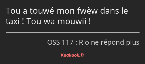 Tou a touwé mon fwèw dans le taxi ! Tou wa mouwii !