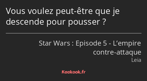 Vous voulez peut-être que je descende pour pousser ?