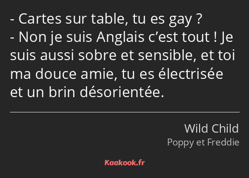 Cartes sur table, tu es gay ? Non je suis Anglais c’est tout ! Je suis aussi sobre et sensible, et…