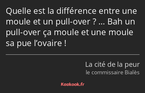 Quelle est la différence entre une moule et un pull-over ? … Bah un pull-over ça moule et une moule…