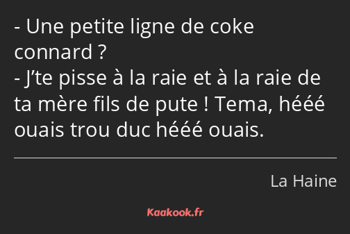 Une petite ligne de coke connard ? J’te pisse à la raie et à la raie de ta mère fils de pute ! Tema…