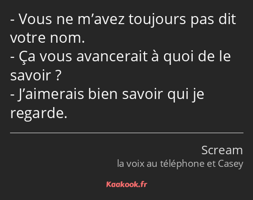 Vous ne m’avez toujours pas dit votre nom. Ça vous avancerait à quoi de le savoir ? J’aimerais bien…