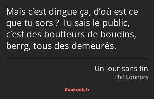 Mais c’est dingue ça, d’où est ce que tu sors ? Tu sais le public, c’est des bouffeurs de boudins…