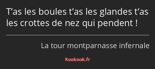 T’as les boules t’as les glandes t’as les crottes de nez qui pendent !