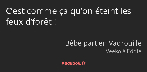 C’est comme ça qu’on éteint les feux d’forêt !