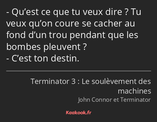 Qu’est ce que tu veux dire ? Tu veux qu’on coure se cacher au fond d’un trou pendant que les bombes…