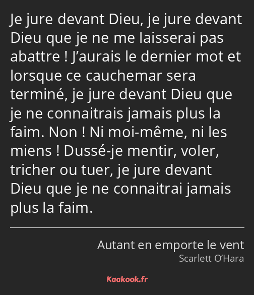 Je jure devant Dieu, je jure devant Dieu que je ne me laisserai pas abattre ! J’aurais le dernier…