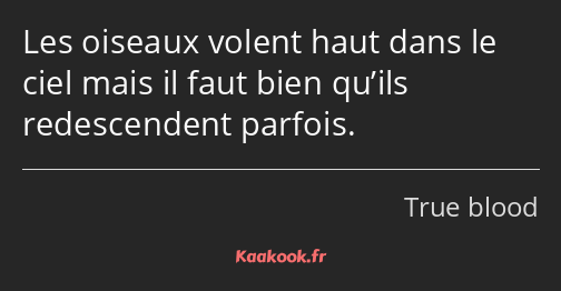 Les oiseaux volent haut dans le ciel mais il faut bien qu’ils redescendent parfois.