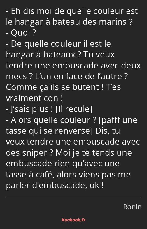 Eh dis moi de quelle couleur est le hangar à bateau des marins ? Quoi ? De quelle couleur il est le…