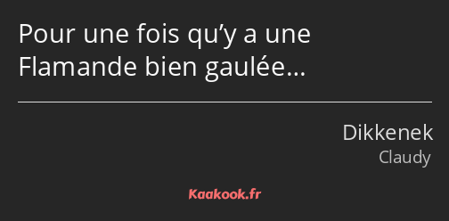 Pour une fois qu’y a une Flamande bien gaulée…