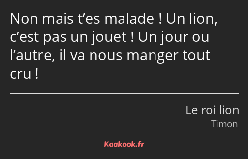 Non mais t’es malade ! Un lion, c’est pas un jouet ! Un jour ou l’autre, il va nous manger tout cru…