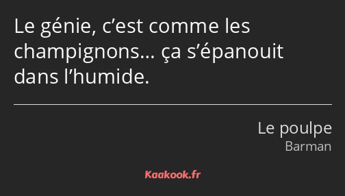 Le génie, c’est comme les champignons… ça s’épanouit dans l’humide.