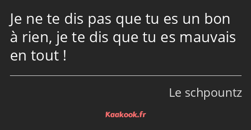 Je ne te dis pas que tu es un bon à rien, je te dis que tu es mauvais en tout !