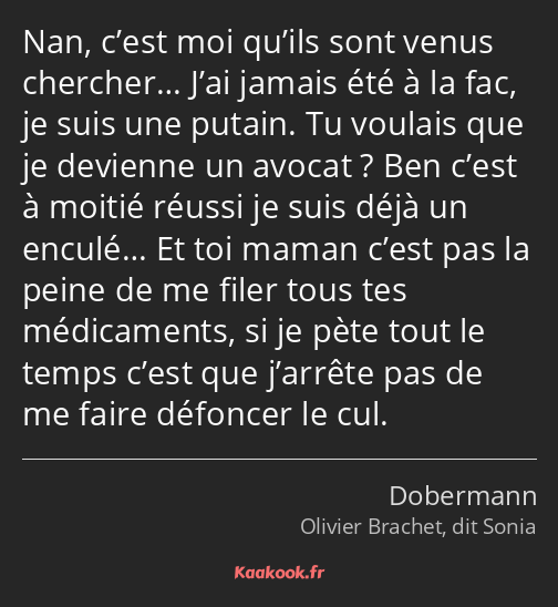 Nan, c’est moi qu’ils sont venus chercher… J’ai jamais été à la fac, je suis une putain. Tu voulais…