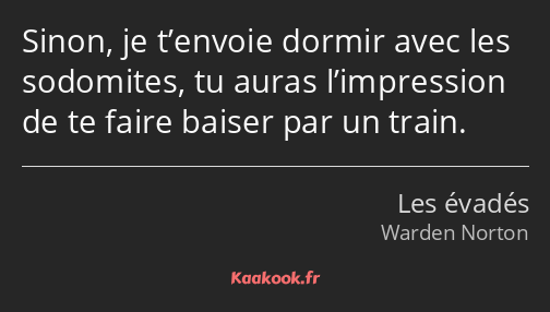 Sinon, je t’envoie dormir avec les sodomites, tu auras l’impression de te faire baiser par un train.