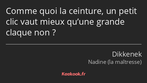 Comme quoi la ceinture, un petit clic vaut mieux qu’une grande claque non ?