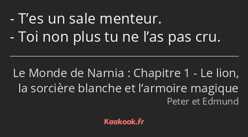 T’es un sale menteur. Toi non plus tu ne l’as pas cru.