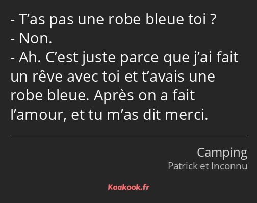 T’as pas une robe bleue toi ? Non. Ah. C’est juste parce que j’ai fait un rêve avec toi et t’avais…