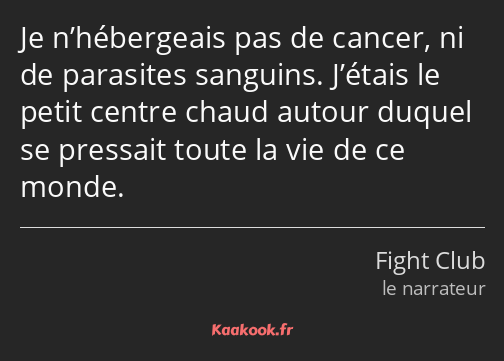 Je n’hébergeais pas de cancer, ni de parasites sanguins. J’étais le petit centre chaud autour…