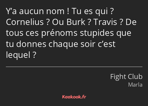 Y’a aucun nom ! Tu es qui ? Cornelius ? Ou Burk ? Travis ? De tous ces prénoms stupides que tu…