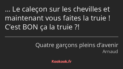 … Le caleçon sur les chevilles et maintenant vous faites la truie ! C’est BON ça la truie ?!