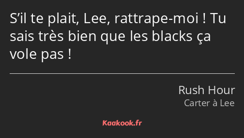 S’il te plait, Lee, rattrape-moi ! Tu sais très bien que les blacks ça vole pas !