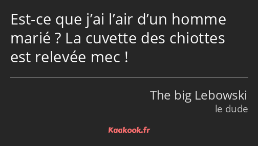 Est-ce que j’ai l’air d’un homme marié ? La cuvette des chiottes est relevée mec !