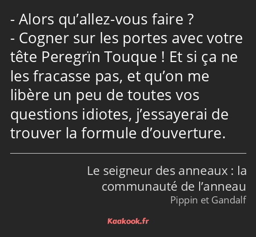 Alors qu’allez-vous faire ? Cogner sur les portes avec votre tête Peregrïn Touque ! Et si ça ne les…