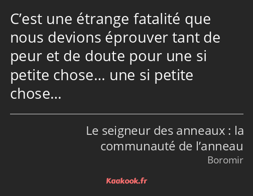 C’est une étrange fatalité que nous devions éprouver tant de peur et de doute pour une si petite…