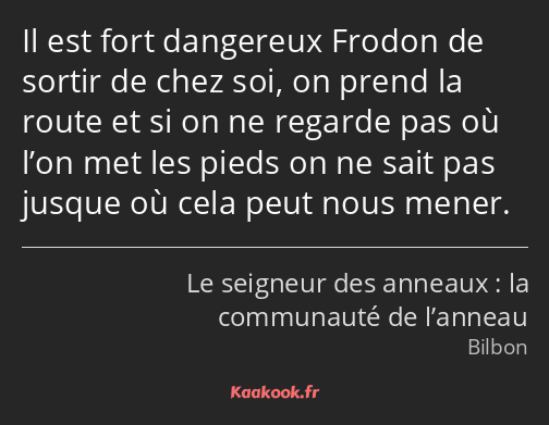 Il est fort dangereux Frodon de sortir de chez soi, on prend la route et si on ne regarde pas où…