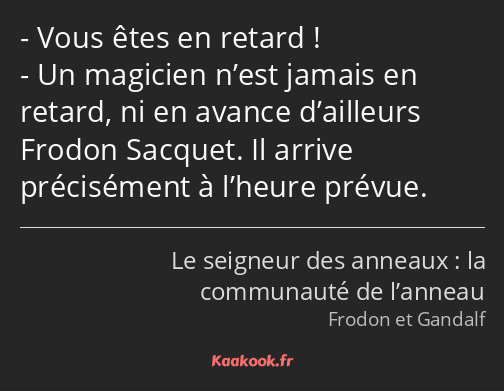 Vous êtes en retard ! Un magicien n’est jamais en retard, ni en avance d’ailleurs Frodon Sacquet…