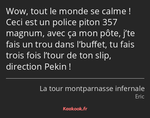 Wow, tout le monde se calme ! Ceci est un police piton 357 magnum, avec ça mon pôte, j’te fais un…