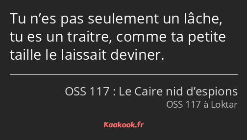 Tu n’es pas seulement un lâche, tu es un traitre, comme ta petite taille le laissait deviner.