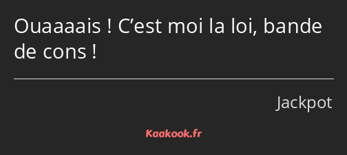 Ouaaaais ! C’est moi la loi, bande de cons !