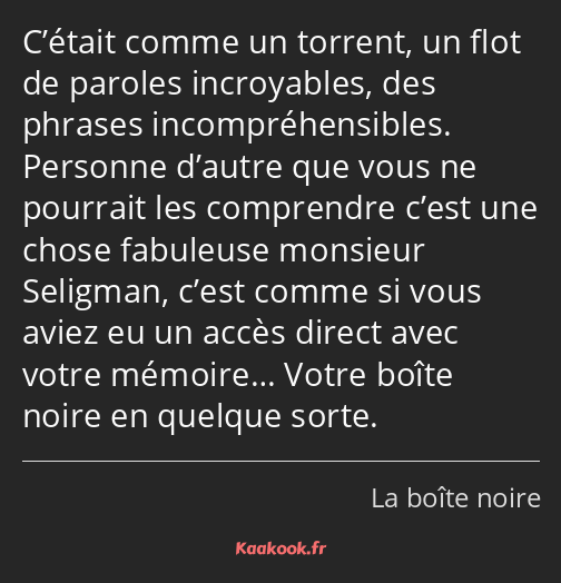 C’était comme un torrent, un flot de paroles incroyables, des phrases incompréhensibles. Personne…