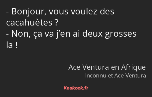 Bonjour, vous voulez des cacahuètes ? Non, ça va j’en ai deux grosses la !