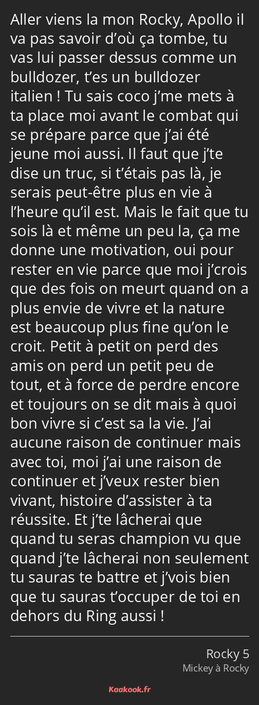 Citation Aller Viens La Mon Rocky Apollo Il Va Pas Kaakook