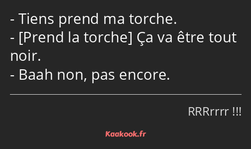 Tiens prend ma torche. Ça va être tout noir. Baah non, pas encore.