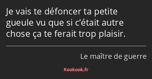 Je vais te défoncer ta petite gueule vu que si c’était autre chose ça te ferait trop plaisir.