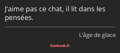 J’aime pas ce chat, il lit dans les pensées.