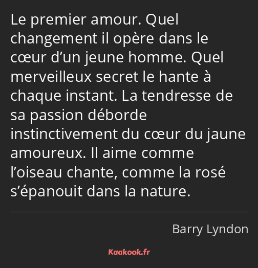 Le premier amour. Quel changement il opère dans le cœur d’un jeune homme. Quel merveilleux secret…