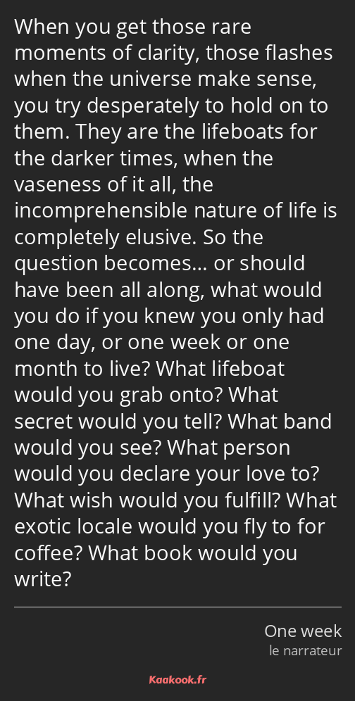 When you get those rare moments of clarity, those flashes when the universe make sense, you try…