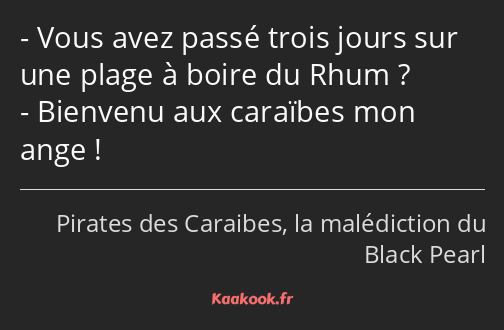 Vous avez passé trois jours sur une plage à boire du Rhum ? Bienvenu aux caraïbes mon ange !